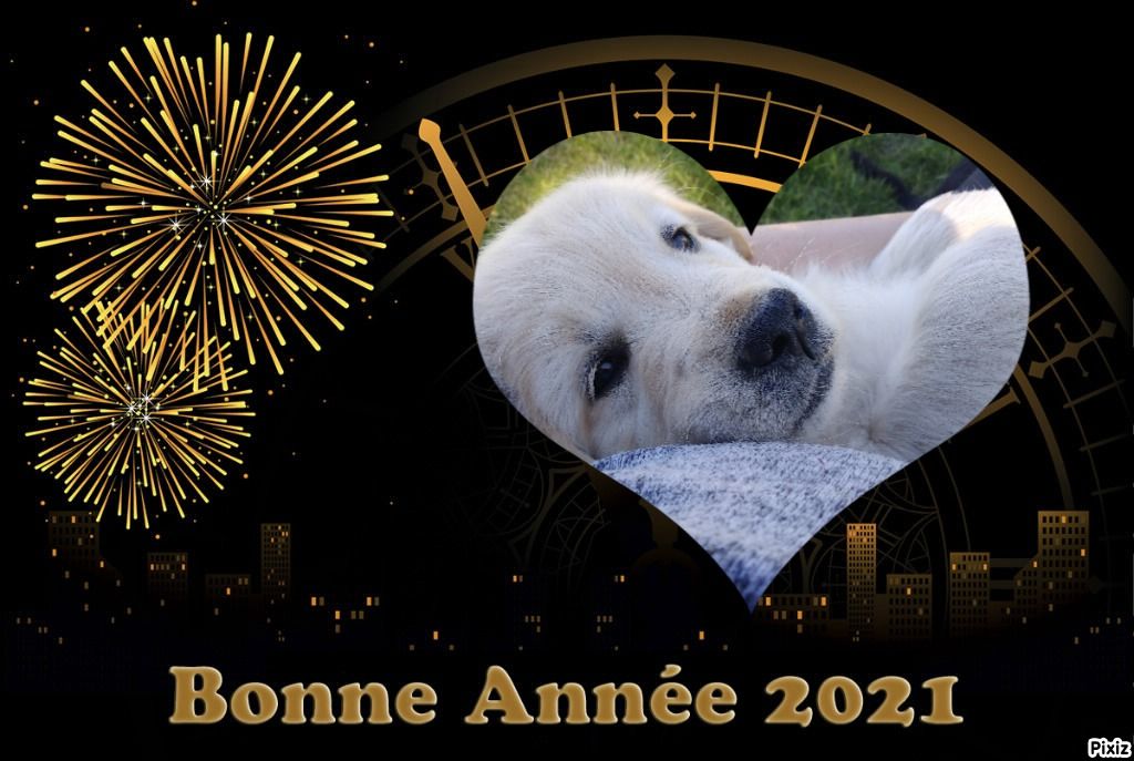 Des Terres De Flore - Bonne année 2021 !!!