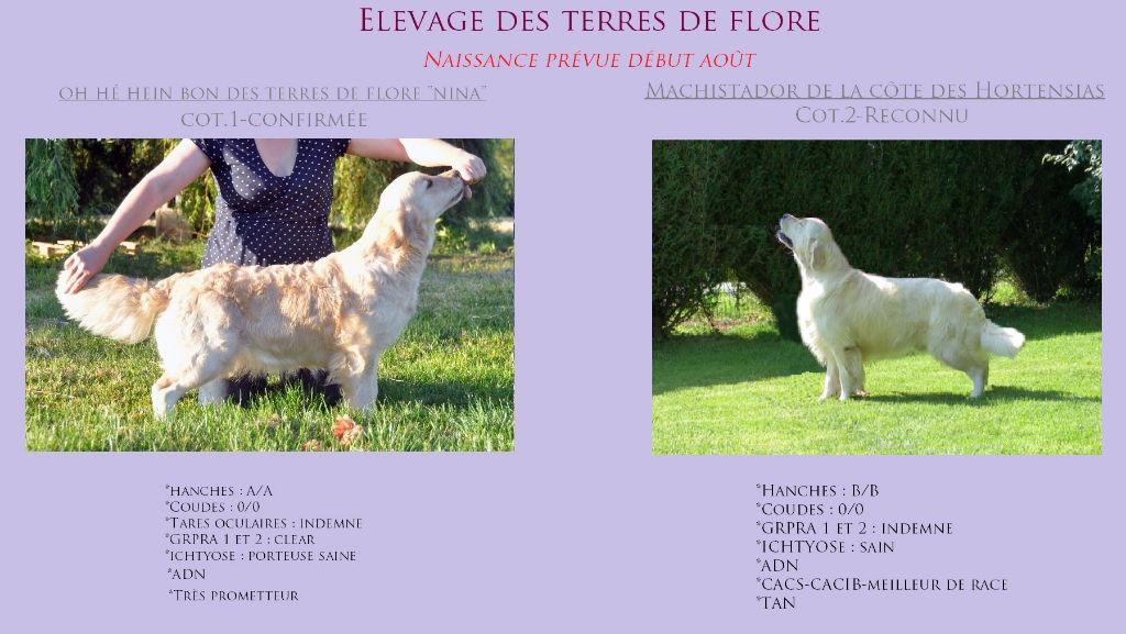 Des Terres De Flore - Des bébés à venir pour début Août