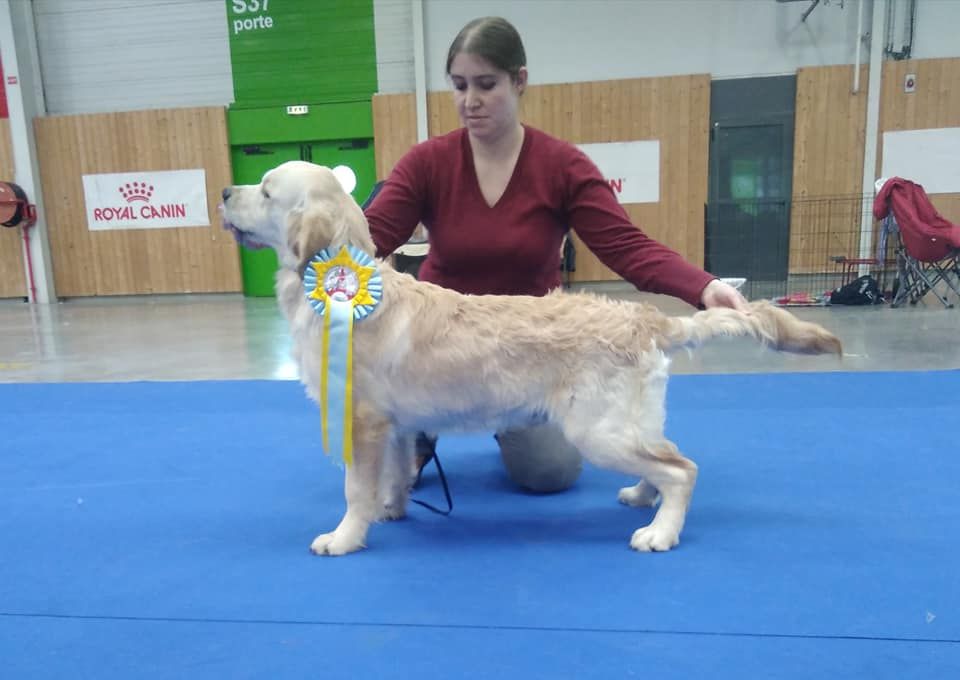 Des Terres De Flore - **Paris Dog Show**