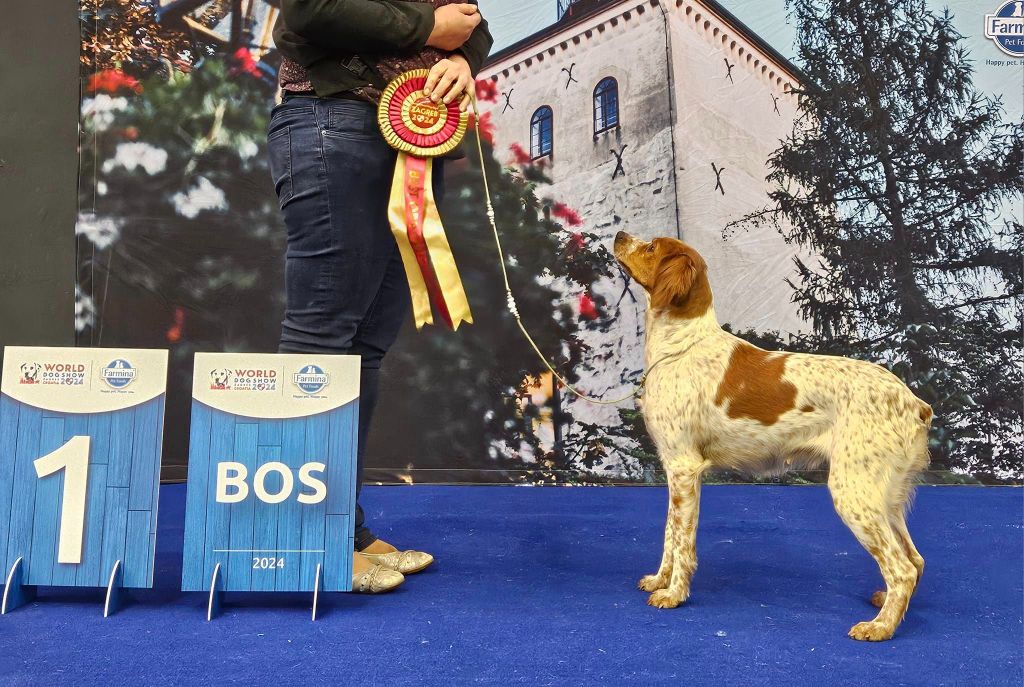 Des Terres De Flore - World Dog Show Zagreb