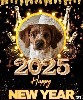  - Bonne année 2025 !!!