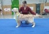  - **Paris Dog Show**