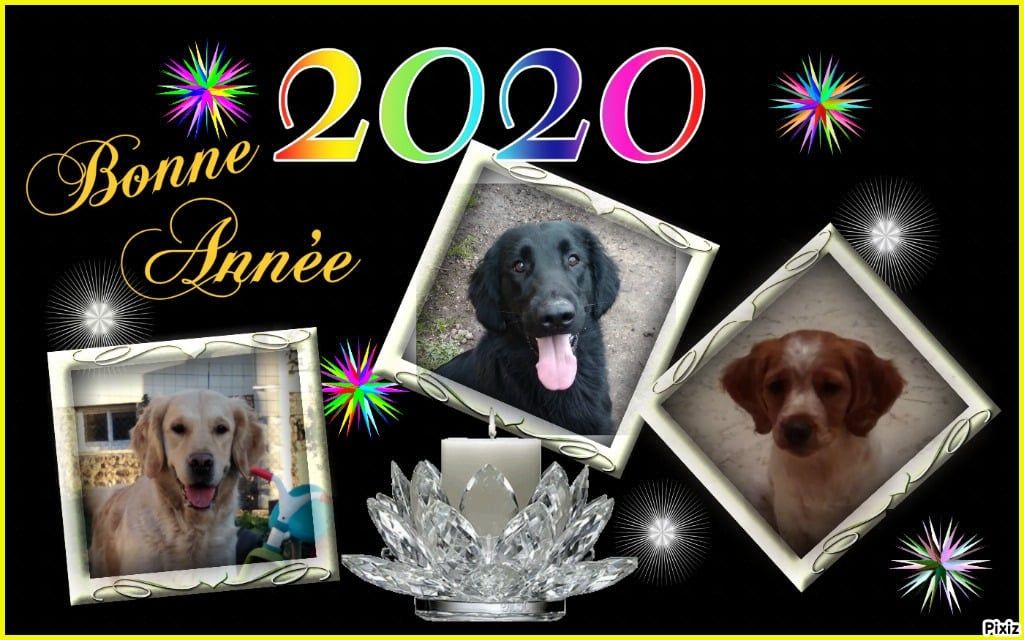 Des Terres De Flore - Bonne année 2020 !!!