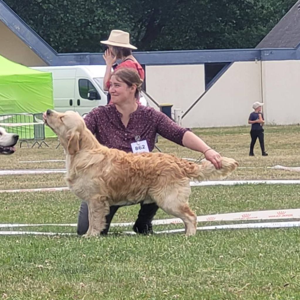 Exposition d'Evreux (27)