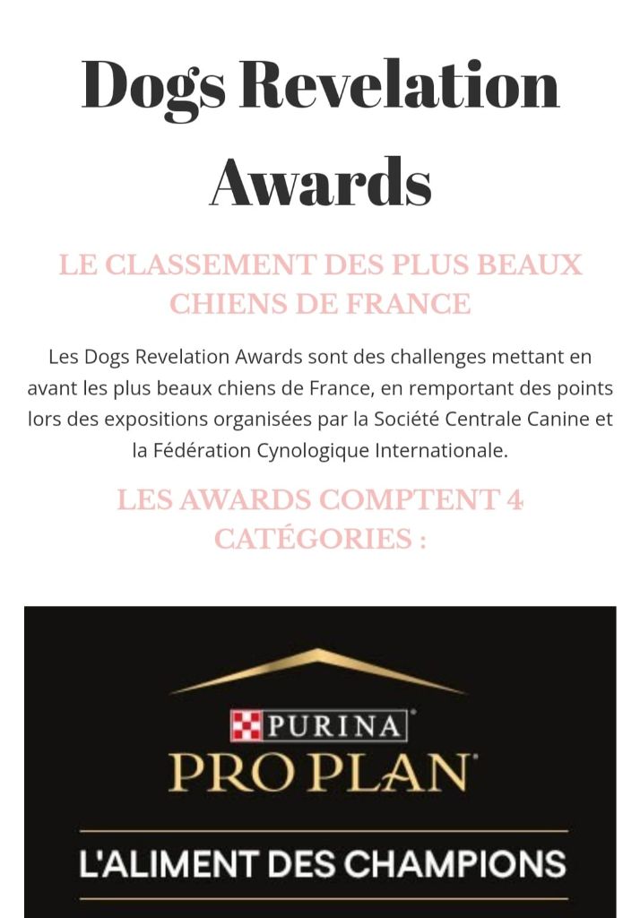 Des Terres De Flore - Dogs Révélation Awards 2023