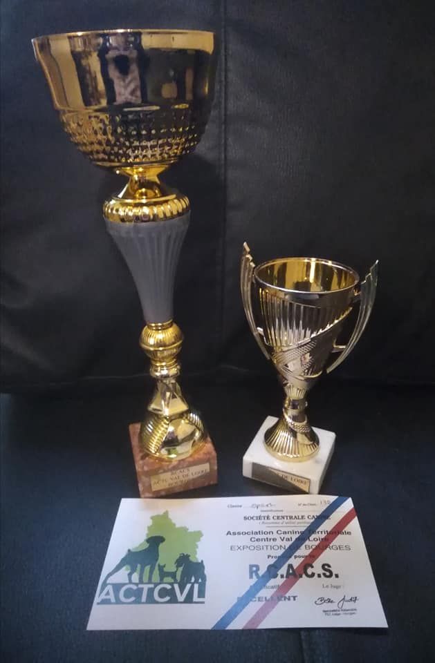 Des Terres De Flore - **CACS-CACIB-Bouges (18)**