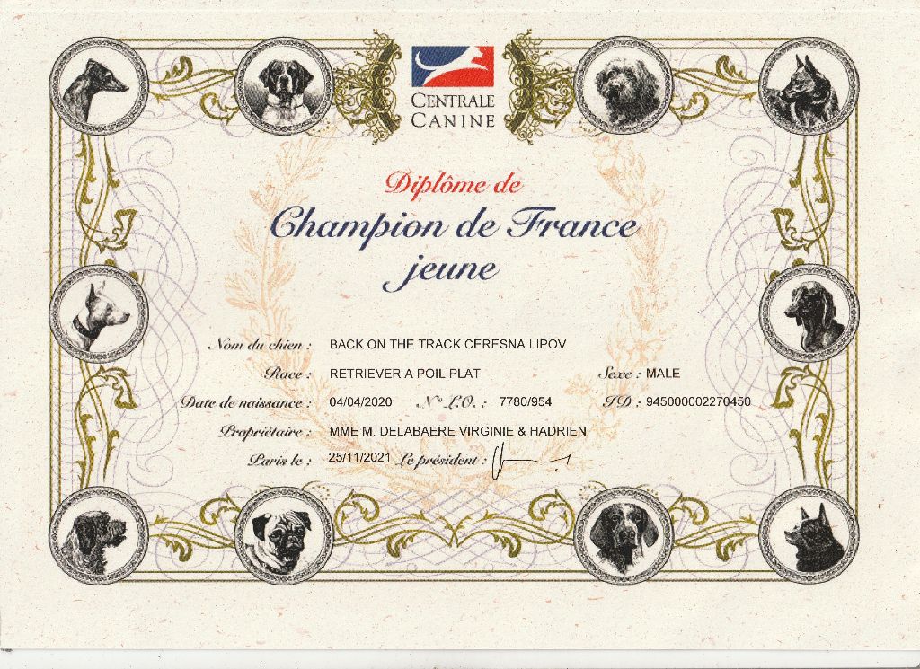 Des Terres De Flore - **Will Champion jeune de France 2021**