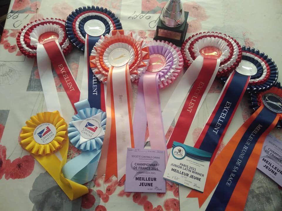 Des Terres De Flore - **Double Championnat de France 2021**