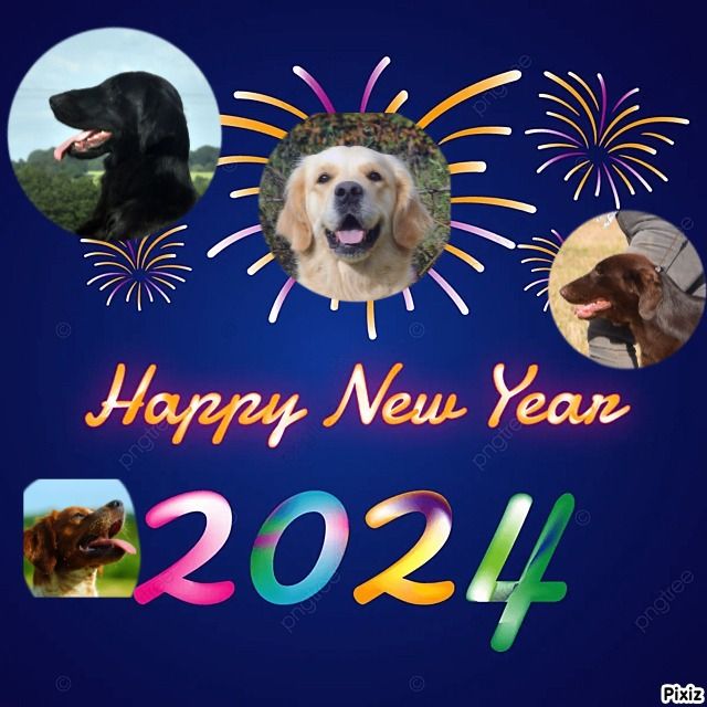 Bonne année 2024