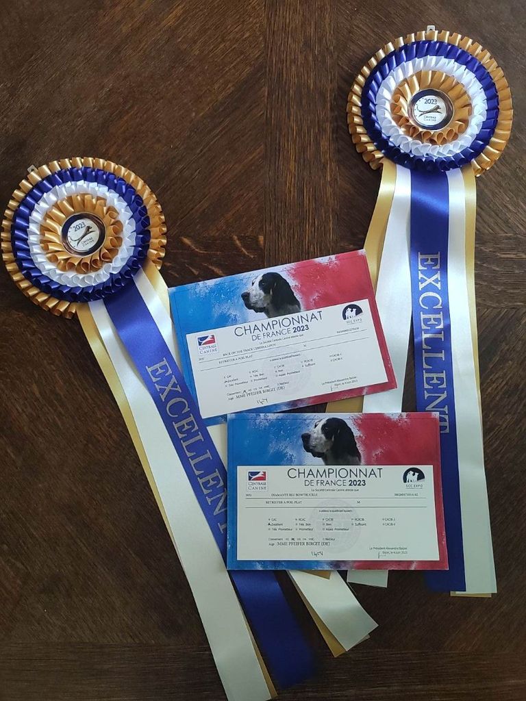 Des Terres De Flore - Championnat de France