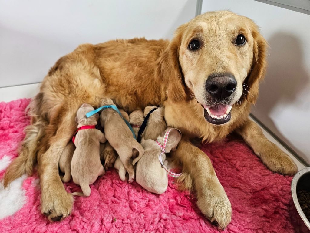 Les bébés de Miss sont nés