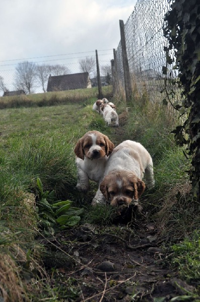 Sortie au jardin (Frivole First-08/02/2015)