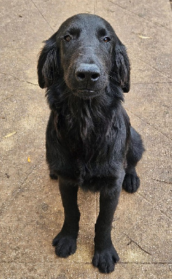 A vos souhaits des Terres de Flore